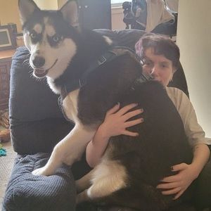 Meet your Posher, Scott